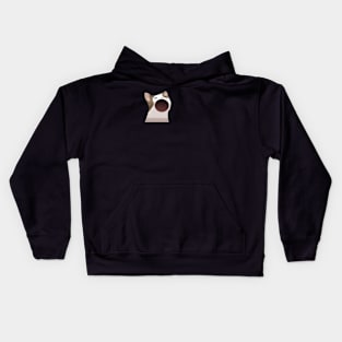 Cat Meme Kids Hoodie